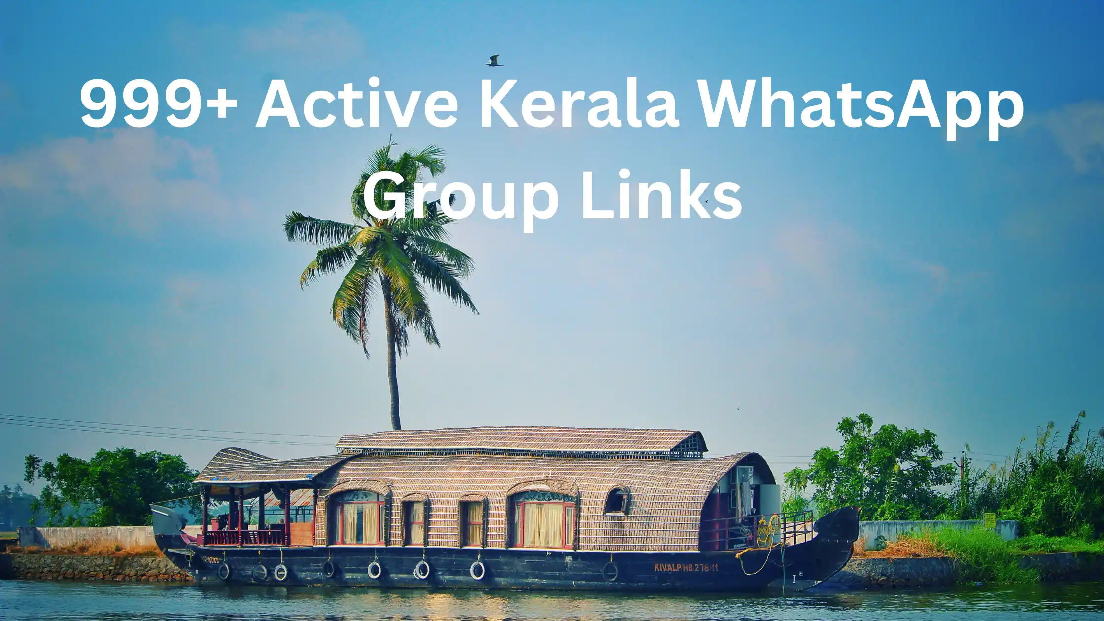 999+ Active Kerala WhatsApp Group Links [2024 Updated]